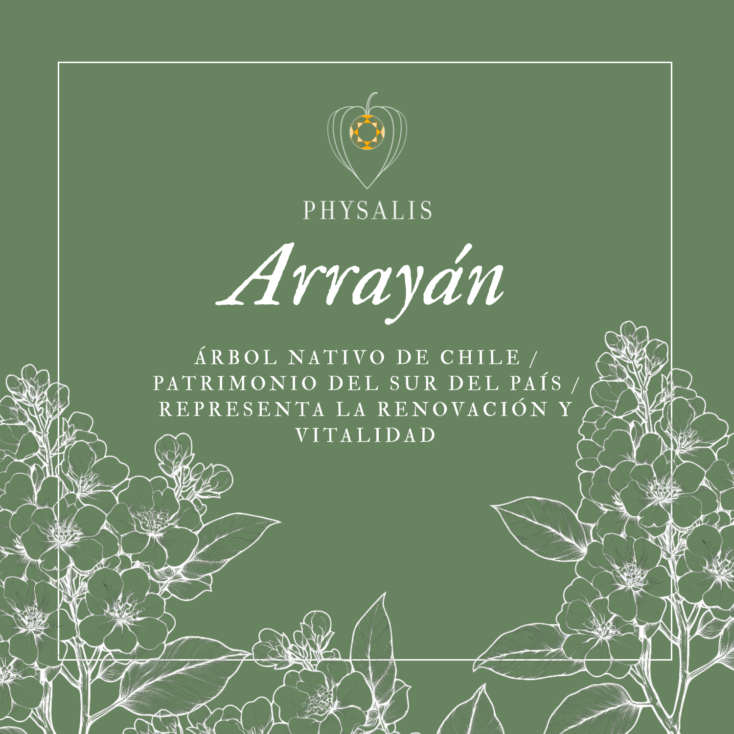 Medallita Arrayán Dorada