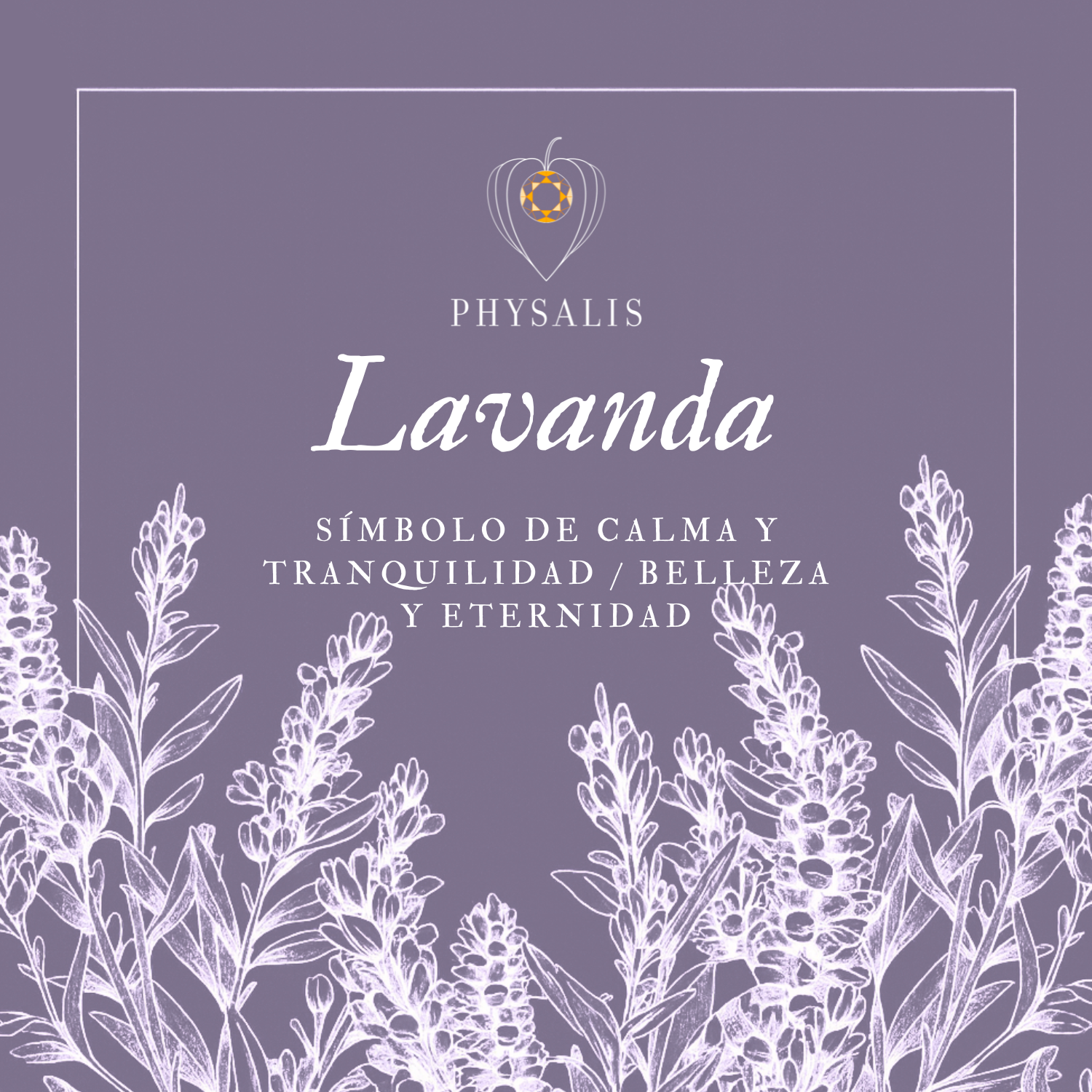 Medallita Lavanda
