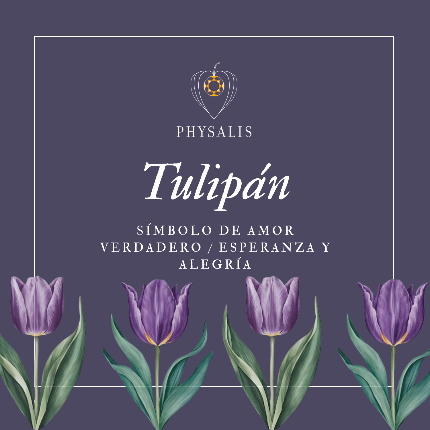 Medallita Tulipán Dorada