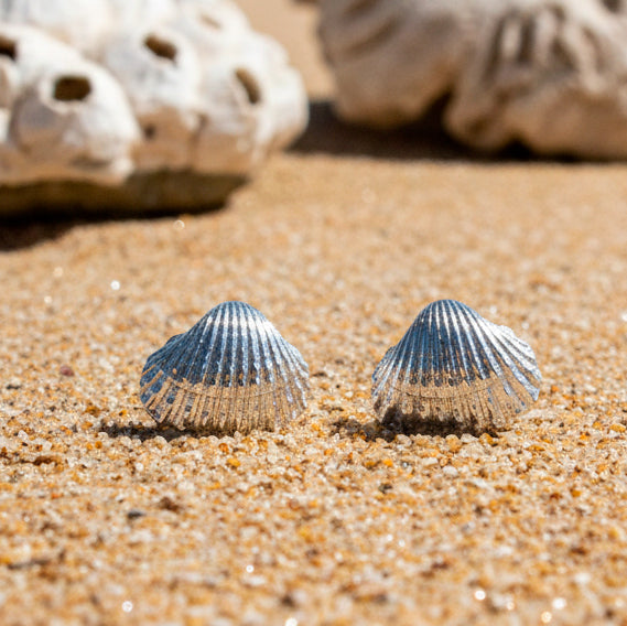 Aros Conchita Almeja