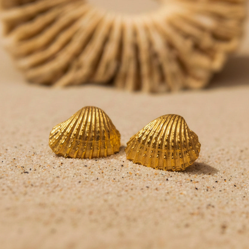 Aros conchita almeja dorados