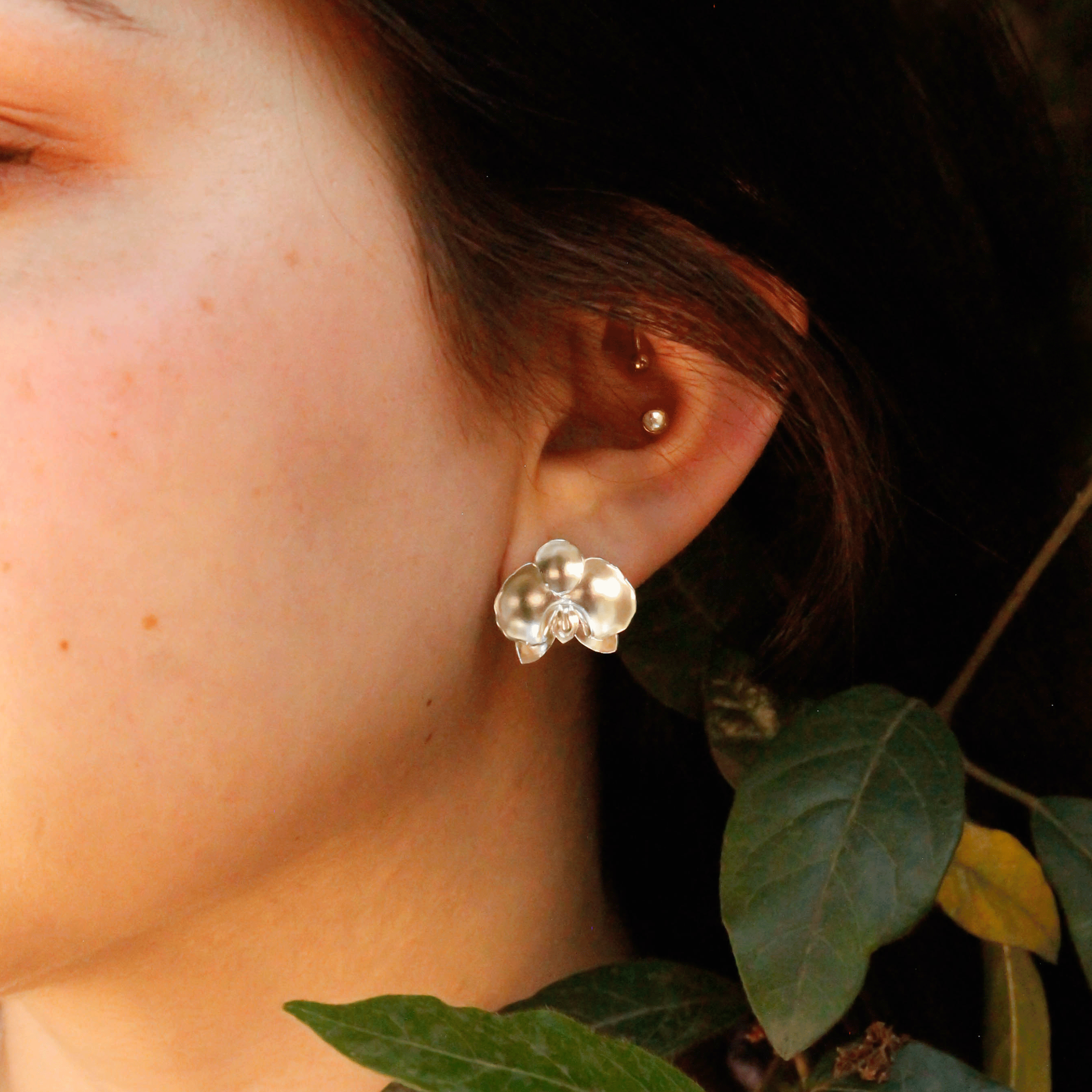 Aros Orquídea