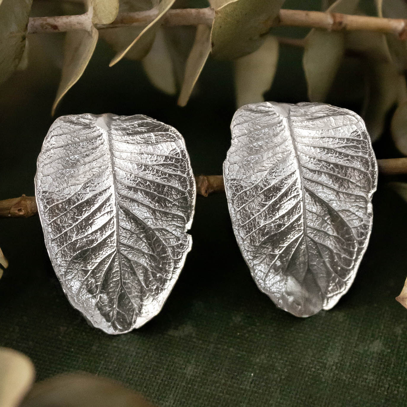 Aros hoja de Ulmo grandes