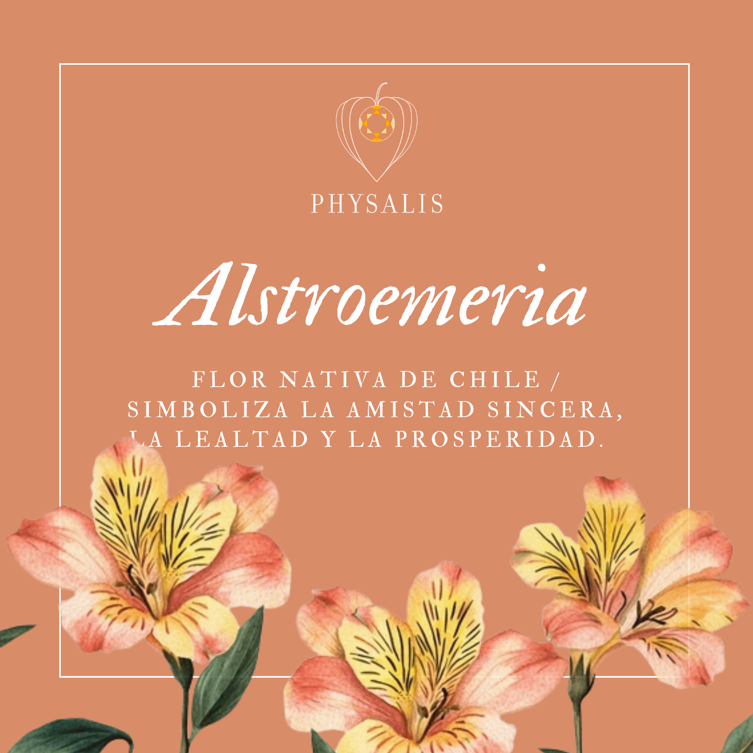 Medallita Alstroemeria Dorada